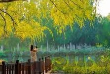 91制片厂果冻传媒麻豆-91制片厂与果冻传媒的影视娱乐新探