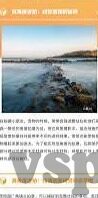 大象看视频的软件-探索大象看视频的奇妙世界，一款专为家庭娱乐优化的软件