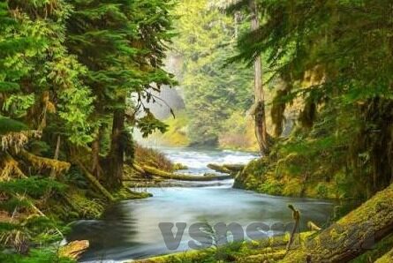 美国成人免费视频-探索成人娱乐的边界，美国成人免费视频的多元视角