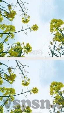 日韩av无码电影天堂网-日韩AV无码电影的灰色地带与网络伦理探讨